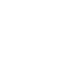 Servis viljuškara